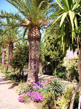 Ferienhaus in Oliveri (Messina) oder Ferienwohnung oder Ferienhaus