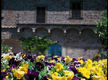 Ferienhaus in barberino val d