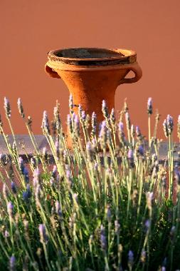 Ferienhaus in Sesimbra (Pen�nsula de Set�bal) oder Ferienwohnung oder Ferienhaus