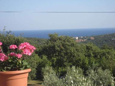 Ferienhaus in Krnica  (Istarska) oder Ferienwohnung oder Ferienhaus