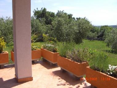 Ferienhaus in Krnica  (Istarska) oder Ferienwohnung oder Ferienhaus