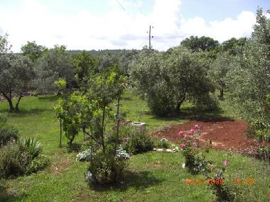 Ferienhaus in Krnica  (Istarska) oder Ferienwohnung oder Ferienhaus