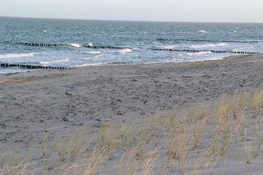 Ferienwohnung in Zingst (Fischland-Dar�-Zingst) oder Ferienwohnung oder Ferienhaus