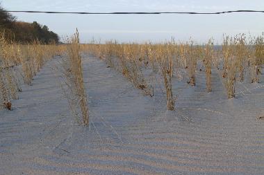 Ferienwohnung in Zingst (Fischland-Dar�-Zingst) oder Ferienwohnung oder Ferienhaus
