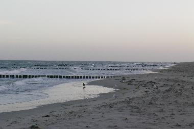 Ferienwohnung in Zingst (Fischland-Dar�-Zingst) oder Ferienwohnung oder Ferienhaus