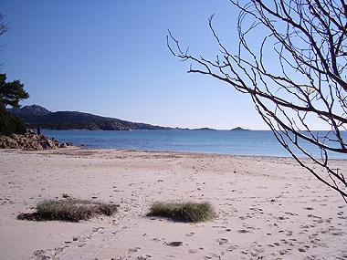 Der traumhafte Strand von 