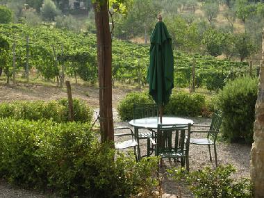 Ferienwohnung in Castelnuovo Berardenga (Siena) oder Ferienwohnung oder Ferienhaus