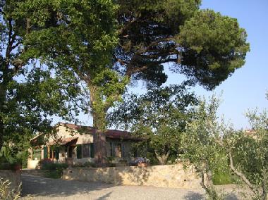 Ferienwohnung in Castelnuovo Berardenga (Siena) oder Ferienwohnung oder Ferienhaus