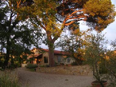Ferienwohnung in Castelnuovo Berardenga (Siena) oder Ferienwohnung oder Ferienhaus