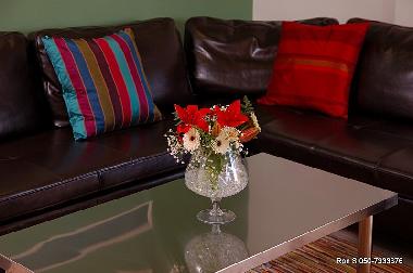 Ferienwohnung in Jerusalem (Yerushalayim (Jerusalem)) oder Ferienwohnung oder Ferienhaus
