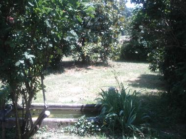 Ferienhaus in Nohic (Tarn-et-Garonne) oder Ferienwohnung oder Ferienhaus