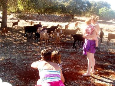 Ferienhaus in Montefrio (Granada) oder Ferienwohnung oder Ferienhaus