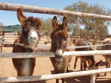 Ferienhaus in Montefrio (Granada) oder Ferienwohnung oder Ferienhaus