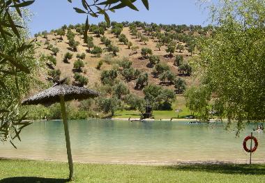 Ferienhaus in Ronda (M�laga) oder Ferienwohnung oder Ferienhaus