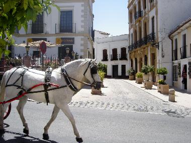 Ferienhaus in Ronda (M�laga) oder Ferienwohnung oder Ferienhaus