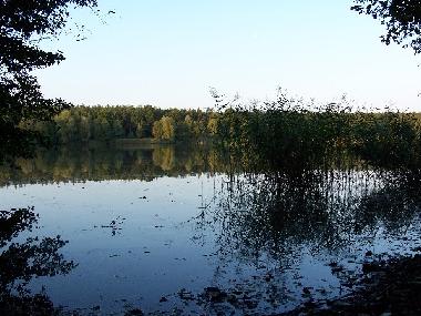 An den Romanik-Teichen ganz in der N�he