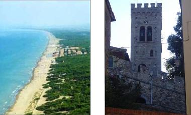 Ferienhaus in Castagneto Carducci (Livorno) oder Ferienwohnung oder Ferienhaus