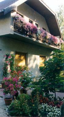 Ferienhaus in Si�fok (Somogy) oder Ferienwohnung oder Ferienhaus