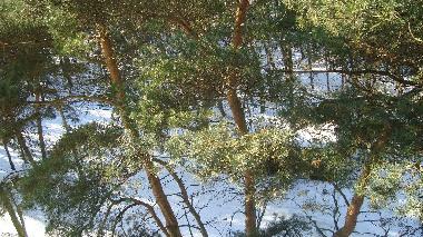 Ferienwohnung in Swinoujscie (Zachodniopomorskie) oder Ferienwohnung oder Ferienhaus