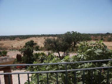 Ferienhaus in Llombards (Mallorca) oder Ferienwohnung oder Ferienhaus