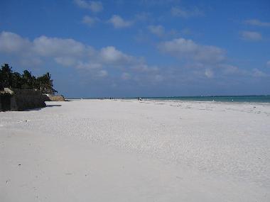 Hotel Neptune Paradise mit Tauchschule an 75m !