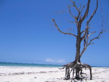 Das sch�nes weisen Strand von Galu.