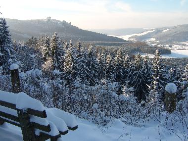 Ferienwohnung in Olsberg/Bruchhausen (Sauerland) oder Ferienwohnung oder Ferienhaus