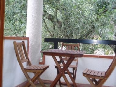Ferienwohnung in PISCIOTTA (Salerno) oder Ferienwohnung oder Ferienhaus