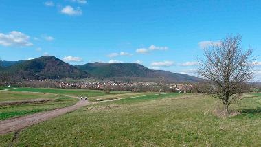 Die Wiesen nach dem Ferienhaus im Elsass