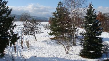 Ferienhaus im Elass - das Eigentum im Winter