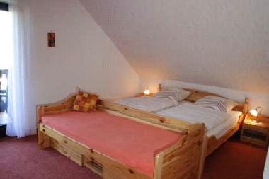 Ferienwohnung in Olsberg/Bruchhausen (Sauerland) oder Ferienwohnung oder Ferienhaus