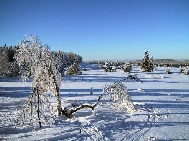 Winterzauber in der gegend