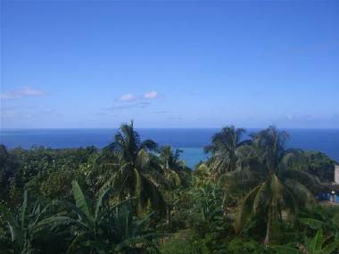 Ausblick vom Apartment