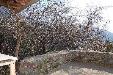 Ferienhaus in Kotronas (Lakonia) oder Ferienwohnung oder Ferienhaus
