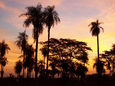 Ferienwohnung in J.A Saldivar (Asuncion) oder Ferienwohnung oder Ferienhaus