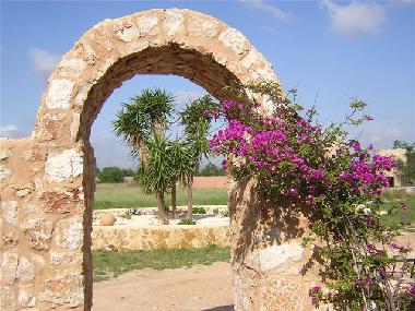 Ferienhaus in Felanitx (Mallorca) oder Ferienwohnung oder Ferienhaus