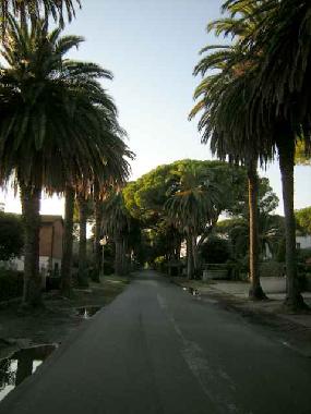 der Weg zum 2 km entfernten Strand
