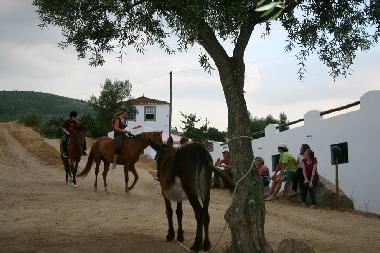 Ferienhaus in Faia, Guarda (Serra da Estrela) oder Ferienwohnung oder Ferienhaus