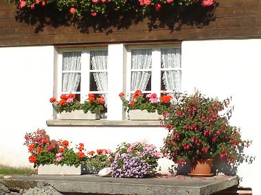 Blumen vor dem 3-Bett-Schlafzimmer 