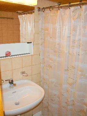 Lavabo, Spiegelschrank und Dusche im Badezimmer