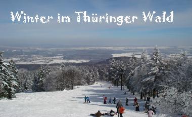 Rodelbahn am Inselsberg 916m
