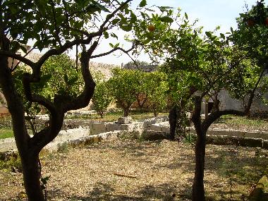 Ferienwohnung in Ostuni (Brindisi) oder Ferienwohnung oder Ferienhaus