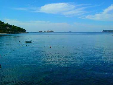 Ferienwohnung in Dubrovnik (Dubrovacko-Neretvanska) oder Ferienwohnung oder Ferienhaus