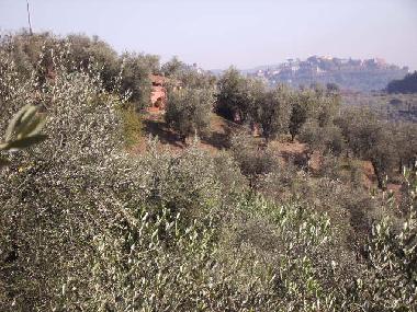 Ferienhaus in Montecatini Terme (Pistoia) oder Ferienwohnung oder Ferienhaus