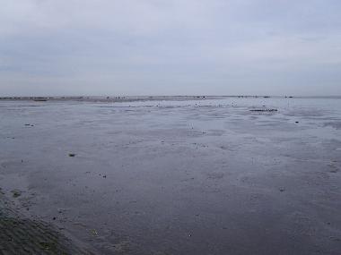 Ferienhaus in Oostmahorn (Friesland) oder Ferienwohnung oder Ferienhaus