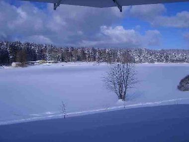 Das Waldseebad im Winter