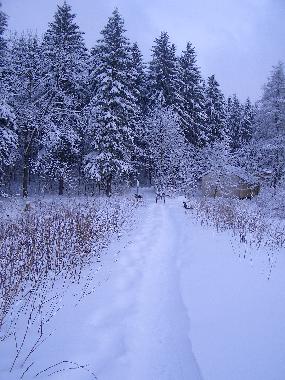 Winterimpressionen