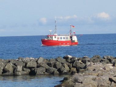 Kutter von www.fischer-kruse.de am Schnberger Strand