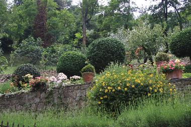 Ferienhaus in Cortona (Arezzo) oder Ferienwohnung oder Ferienhaus