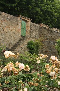 Ferienhaus in Cortona (Arezzo) oder Ferienwohnung oder Ferienhaus